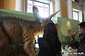 VBS_1016 - Dinosauri. Terra dei giganti